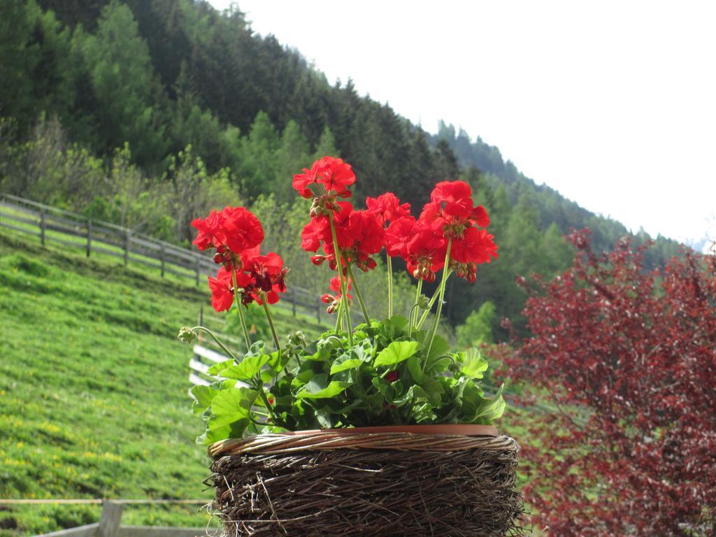 Appartement Haus Hubert à Arzl im Pitztal Extérieur photo